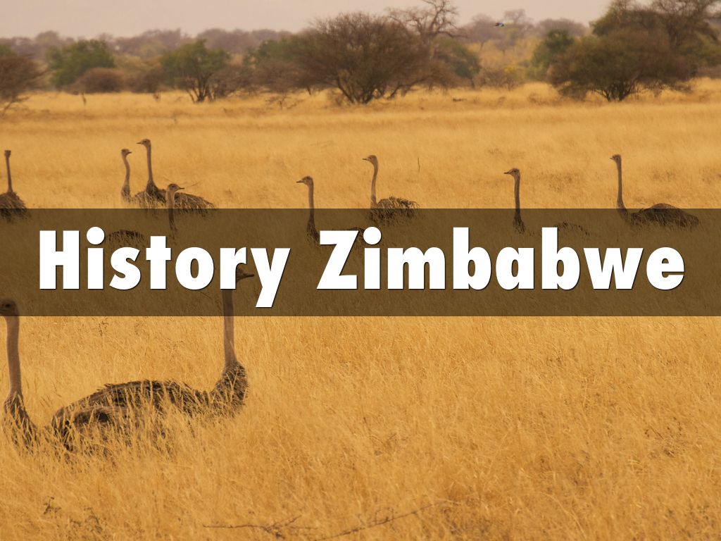 History of Zimbabwe by lilmisssunshine3113